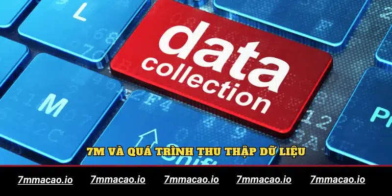 7m và quá trình thu thập dữ liệu