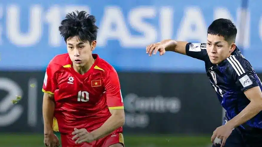 Trần gia bảo 