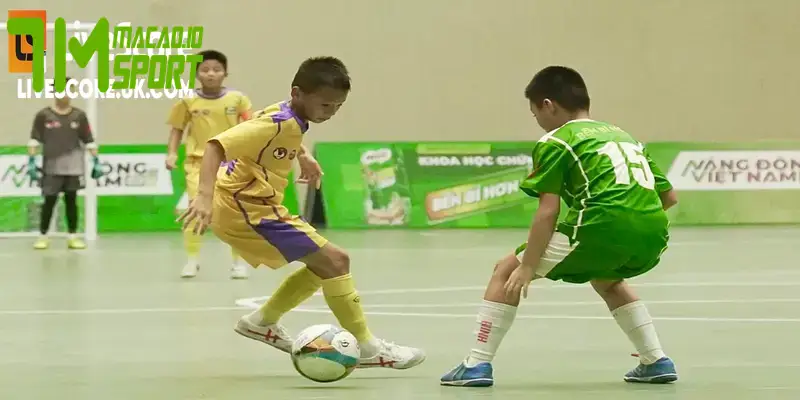 Chính Sách Mới Của VFF