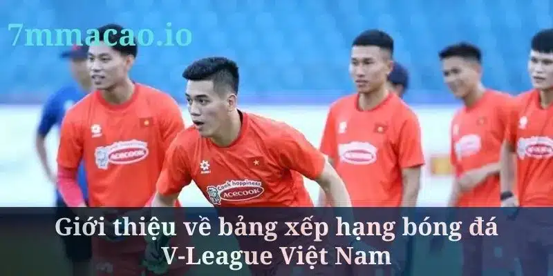 Bảng xếp hạng bóng đá V-League Việt Nam là thông tin cực quan trọng
