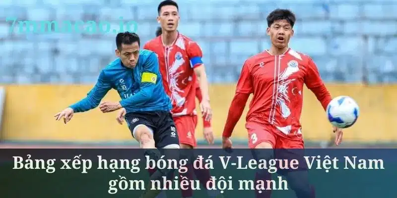 Bảng xếp hạng bóng đá V-League Việt Nam gồm nhiều đội mạnh