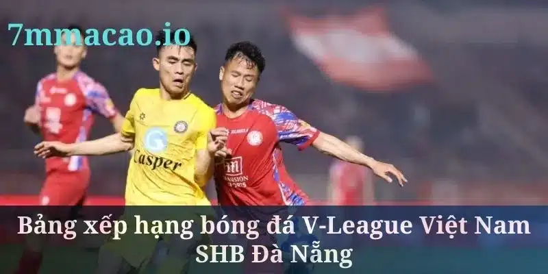 Bảng xếp hạng bóng đá V-League Việt Nam SHB Đà Nẵng