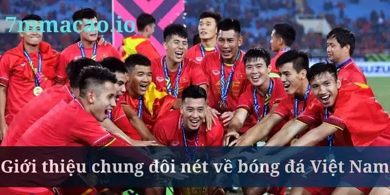 Bóng đá Việt Nam rất được người dân yêu thích