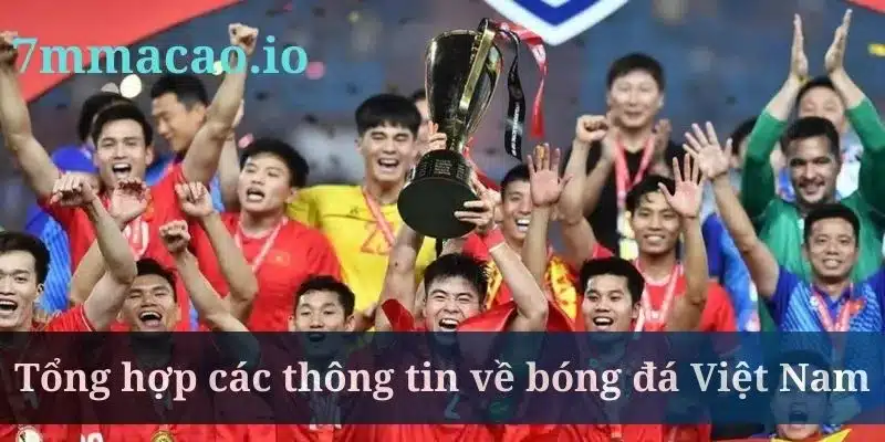 Bóng đá Việt Nam có hệ thống giải đấu đa dạng