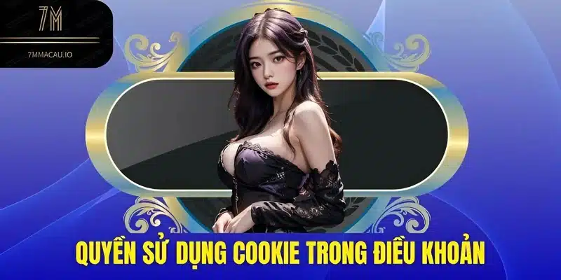 Quyền sử dụng cookie trong điều khoản bảo mật